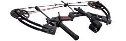 Compound Bow